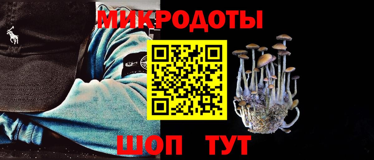 Псилоцибиновые грибы Cubensis Коломна