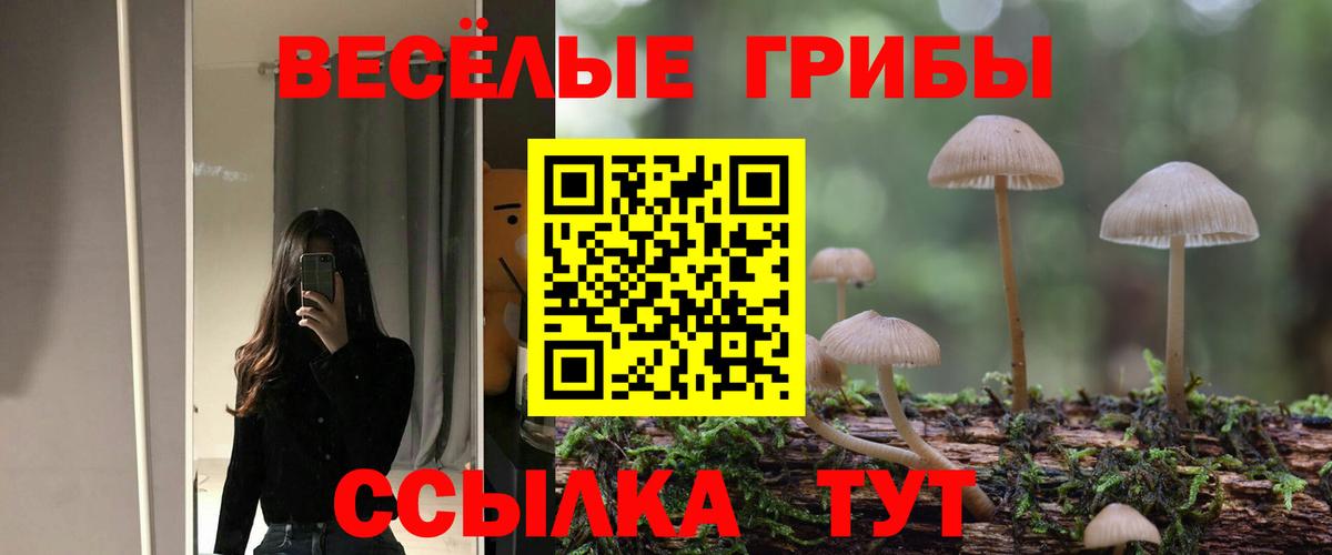 Галлюциногенные грибы Cubensis  Псилоцибиновые грибы Magic Shrooms  Вход с VPN  Коломна 